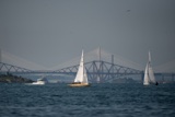 2021 wed dragon edinburgh cup ec21 8932w